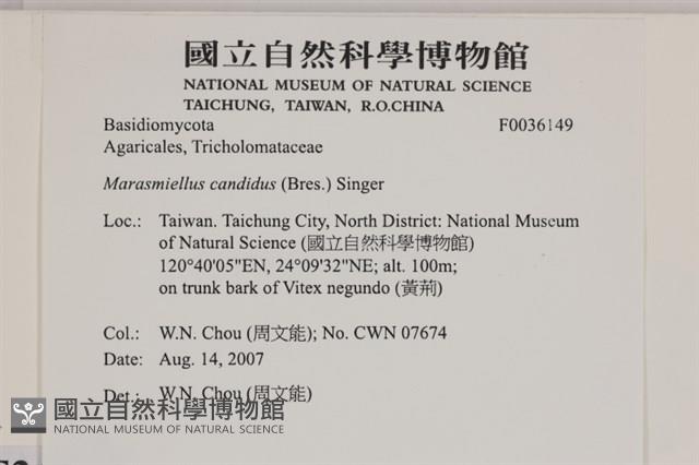 登錄號:F0036149藏品圖，第2張