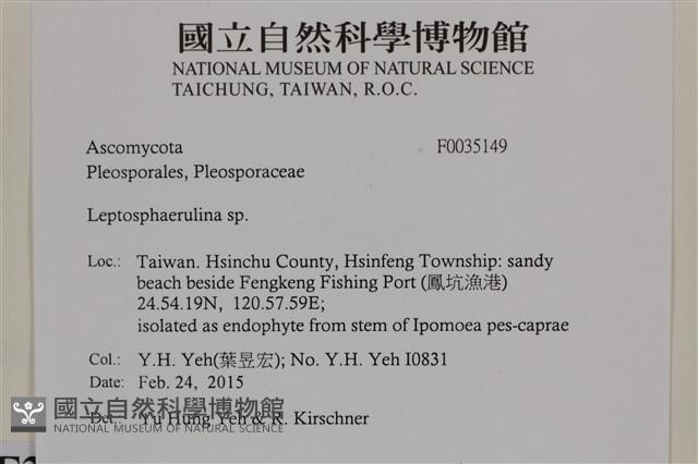 登錄號:F0035149藏品圖，第2張