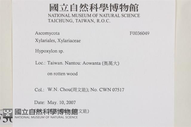 登錄號:F0036049藏品圖，第2張