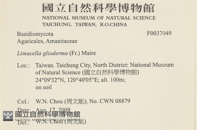 登錄號:F0037049藏品圖，第2張