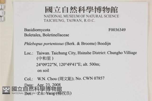 登錄號:F0036349藏品圖，第2張