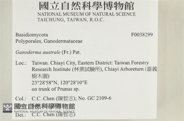 登錄號:F0038299藏品圖，第2張