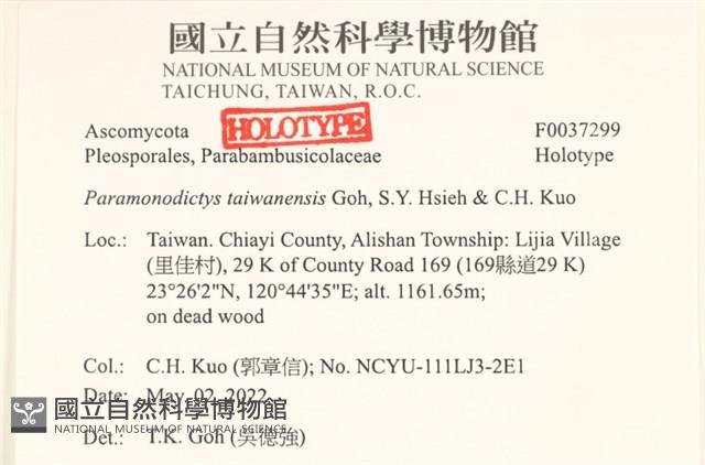 登錄號:F0037299藏品圖，第3張