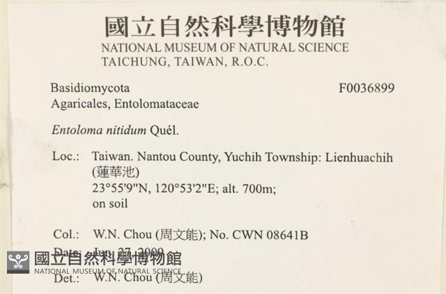 登錄號:F0036899藏品圖，第2張