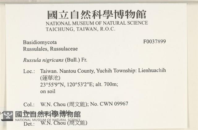 登錄號:F0037899藏品圖，第2張