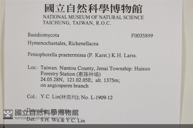 登錄號:F0035899藏品圖，第2張