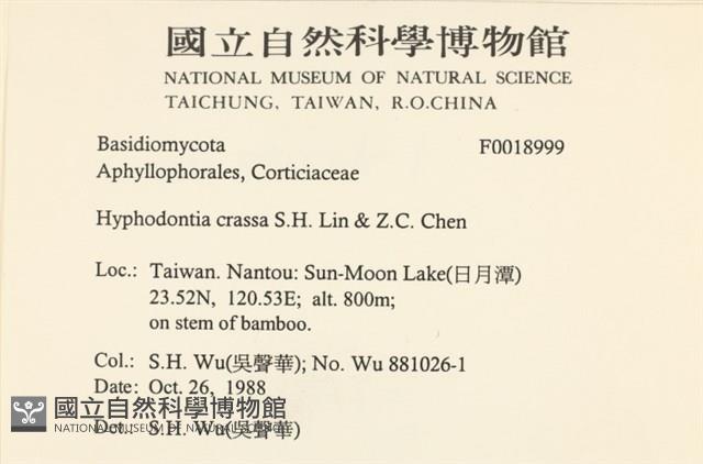 登錄號:F0018999藏品圖，第2張
