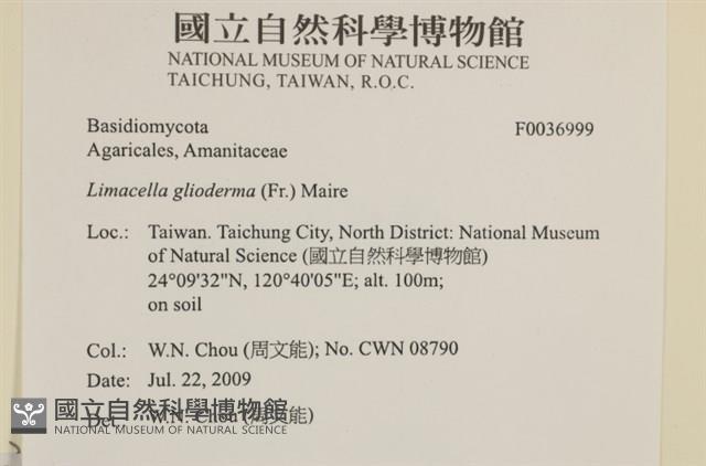 登錄號:F0036999藏品圖，第2張