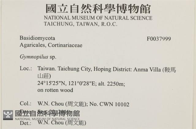 登錄號:F0037999藏品圖，第2張