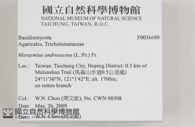 登錄號:F0036699藏品圖，第2張