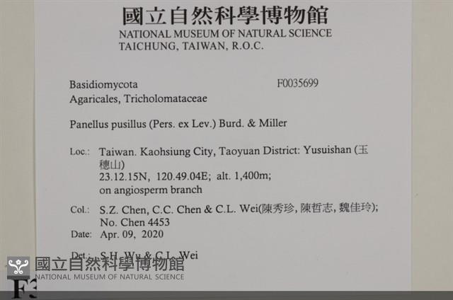登錄號:F0035699藏品圖，第2張