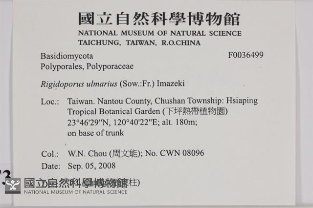 登錄號:F0036499藏品圖，第2張