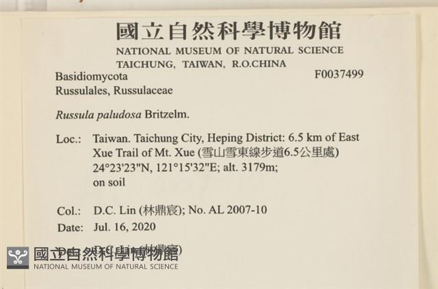 登錄號:F0037499藏品圖，第2張