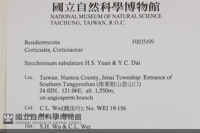 館號:F0035499藏品圖，第2張