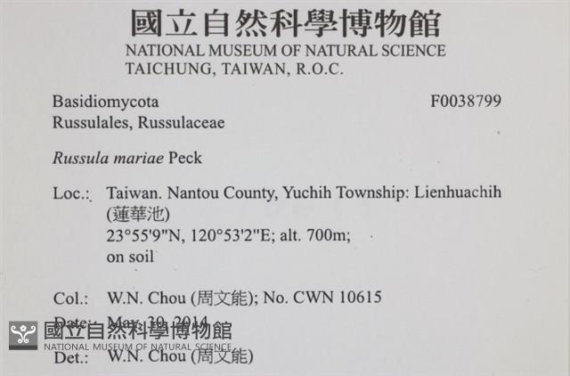 登錄號:F0038799藏品圖，第2張