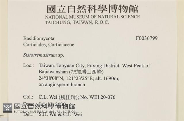 登錄號:F0036799藏品圖，第2張