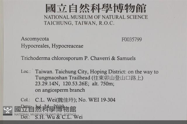 登錄號:F0035799藏品圖，第2張