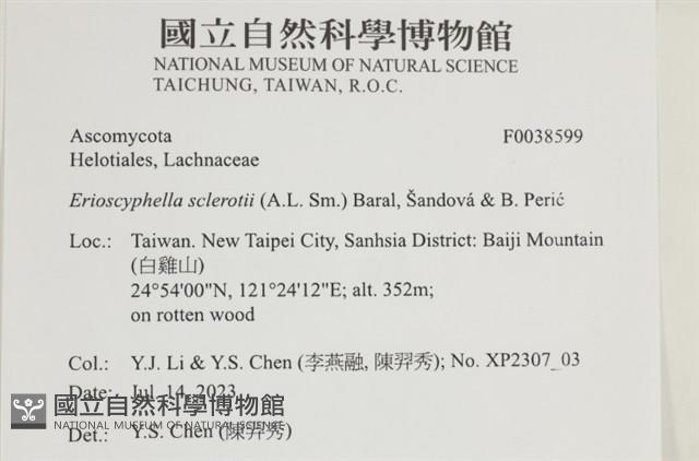 登錄號:F0038599藏品圖，第2張