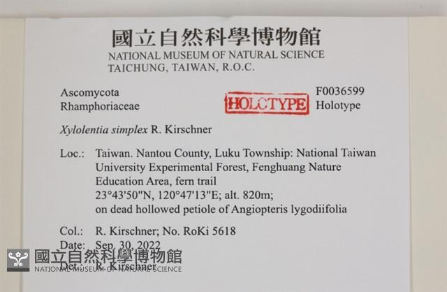 館號:F0036599藏品圖，第2張