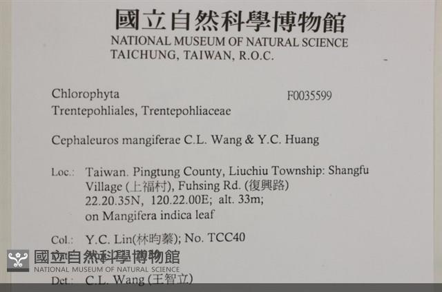 登錄號:F0035599藏品圖，第2張