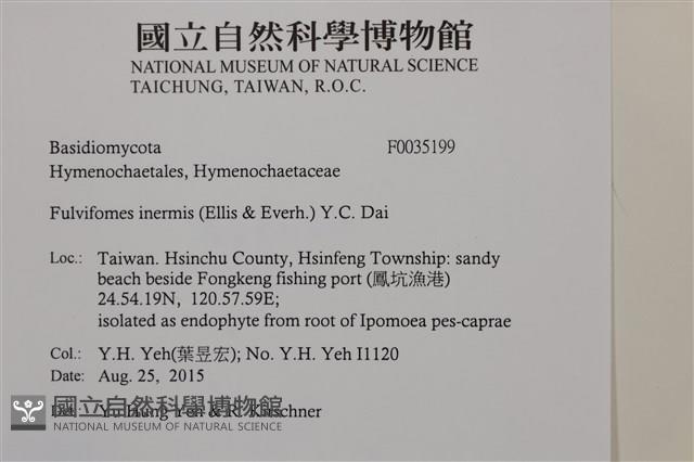 登錄號:F0035199藏品圖，第2張