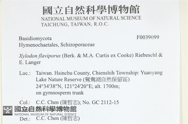 登錄號:F0039099藏品圖，第2張