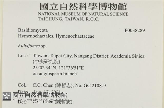 登錄號:F0038289藏品圖，第2張