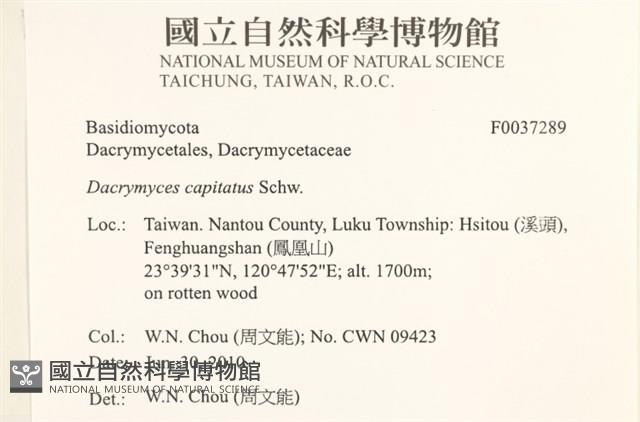 登錄號:F0037289藏品圖，第2張