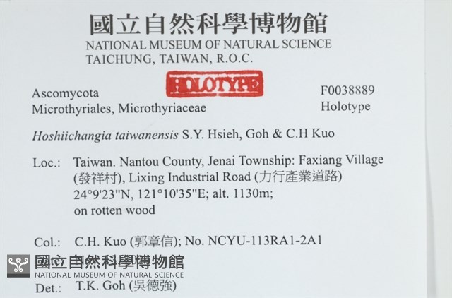 登錄號:F0038889藏品圖，第2張