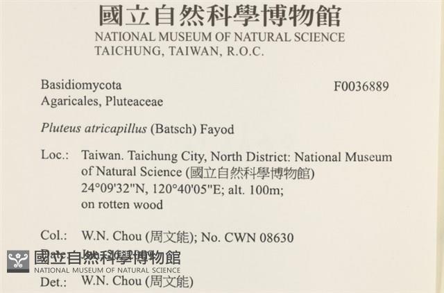 登錄號:F0036889藏品圖，第2張