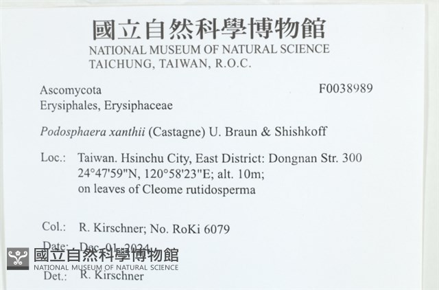 登錄號:F0038989藏品圖，第2張