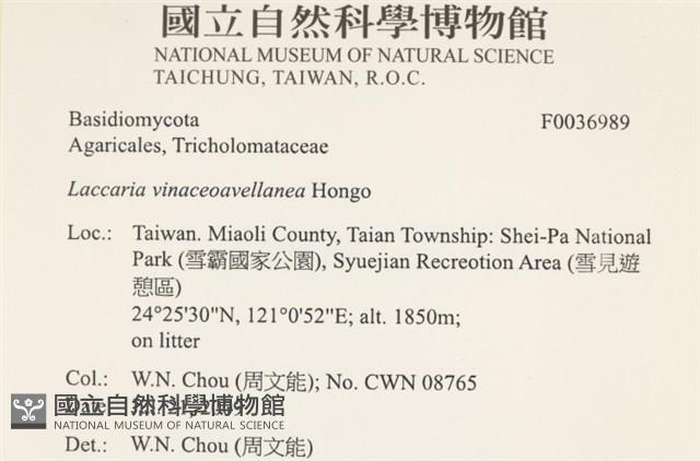 登錄號:F0036989藏品圖，第2張