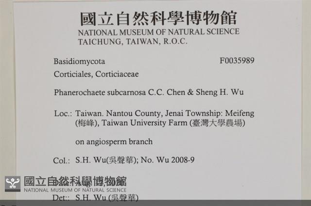 登錄號:F0035989藏品圖，第2張