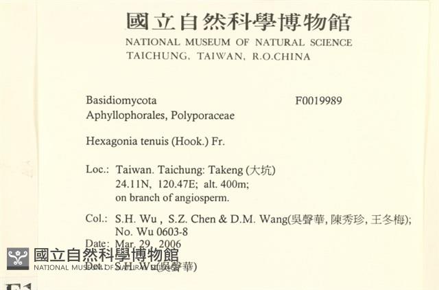 登錄號:F0019989藏品圖，第2張