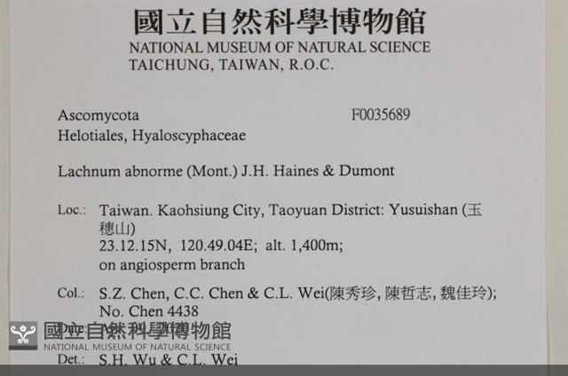 登錄號:F0035689藏品圖，第2張