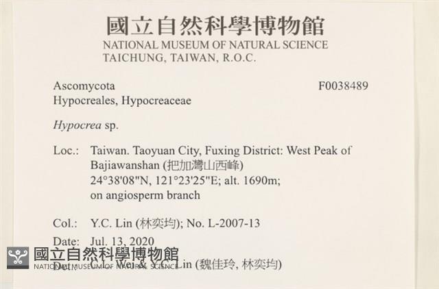登錄號:F0038489藏品圖，第2張