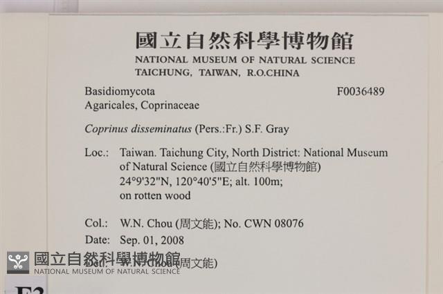 登錄號:F0036489藏品圖，第2張