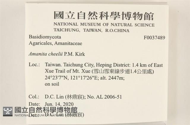 登錄號:F0037489藏品圖，第2張