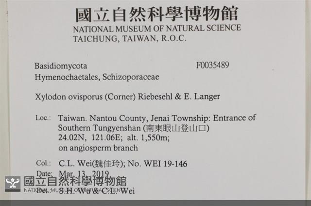 登錄號:F0035489藏品圖，第2張
