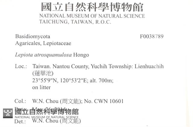 Accession Number:F0038789 Collection Image, Figure 2, Total 3 Figures