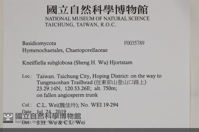 登錄號:F0035789藏品圖，第2張