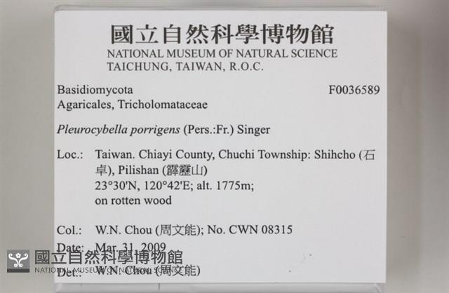 登錄號:F0036589藏品圖，第2張