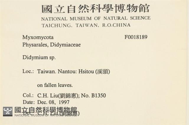登錄號:F0018189藏品圖，第2張