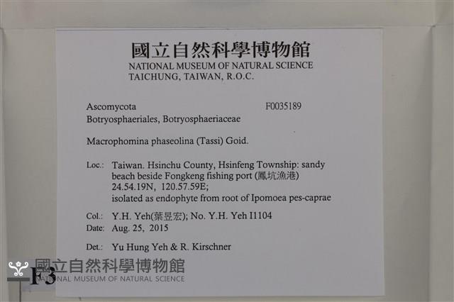 登錄號:F0035189藏品圖，第2張