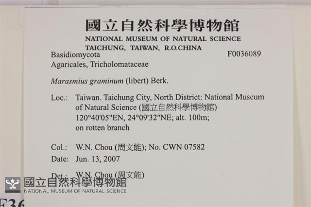 Accession Number:F0036089 Collection Image, Figure 2, Total 2 Figures