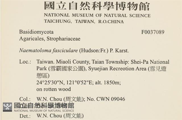 登錄號:F0037089藏品圖，第2張
