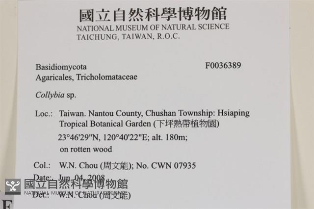 登錄號:F0036389藏品圖，第2張