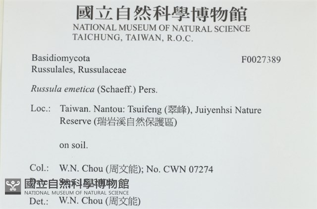 登錄號:F0027389藏品圖，第4張