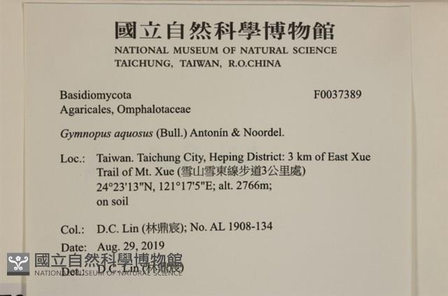 登錄號:F0037389藏品圖，第2張