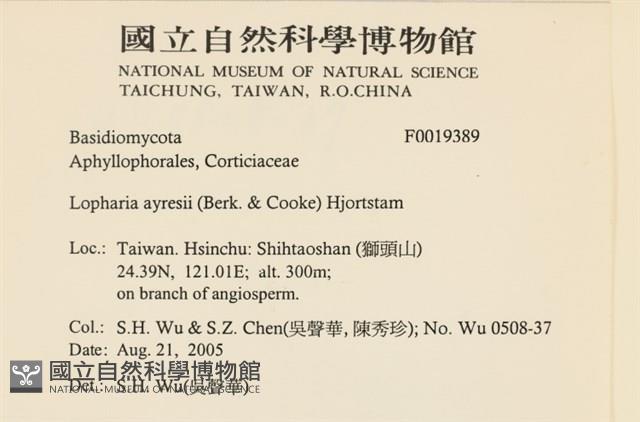 登錄號:F0019389藏品圖，第2張